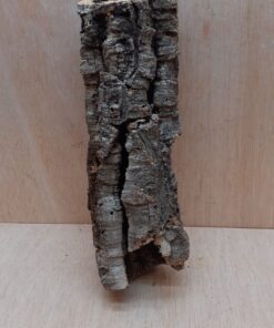 Small Cork Tube - Upto 40cm - 12