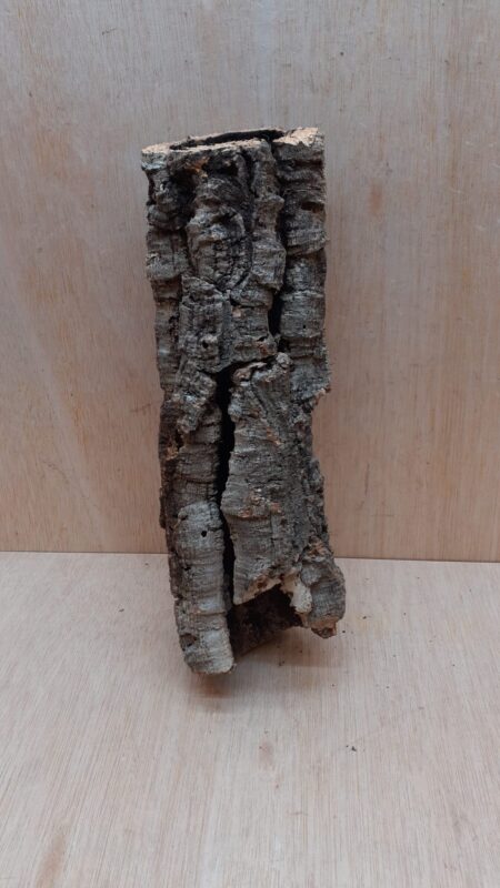 Small Cork Tube - Upto 40cm - 12