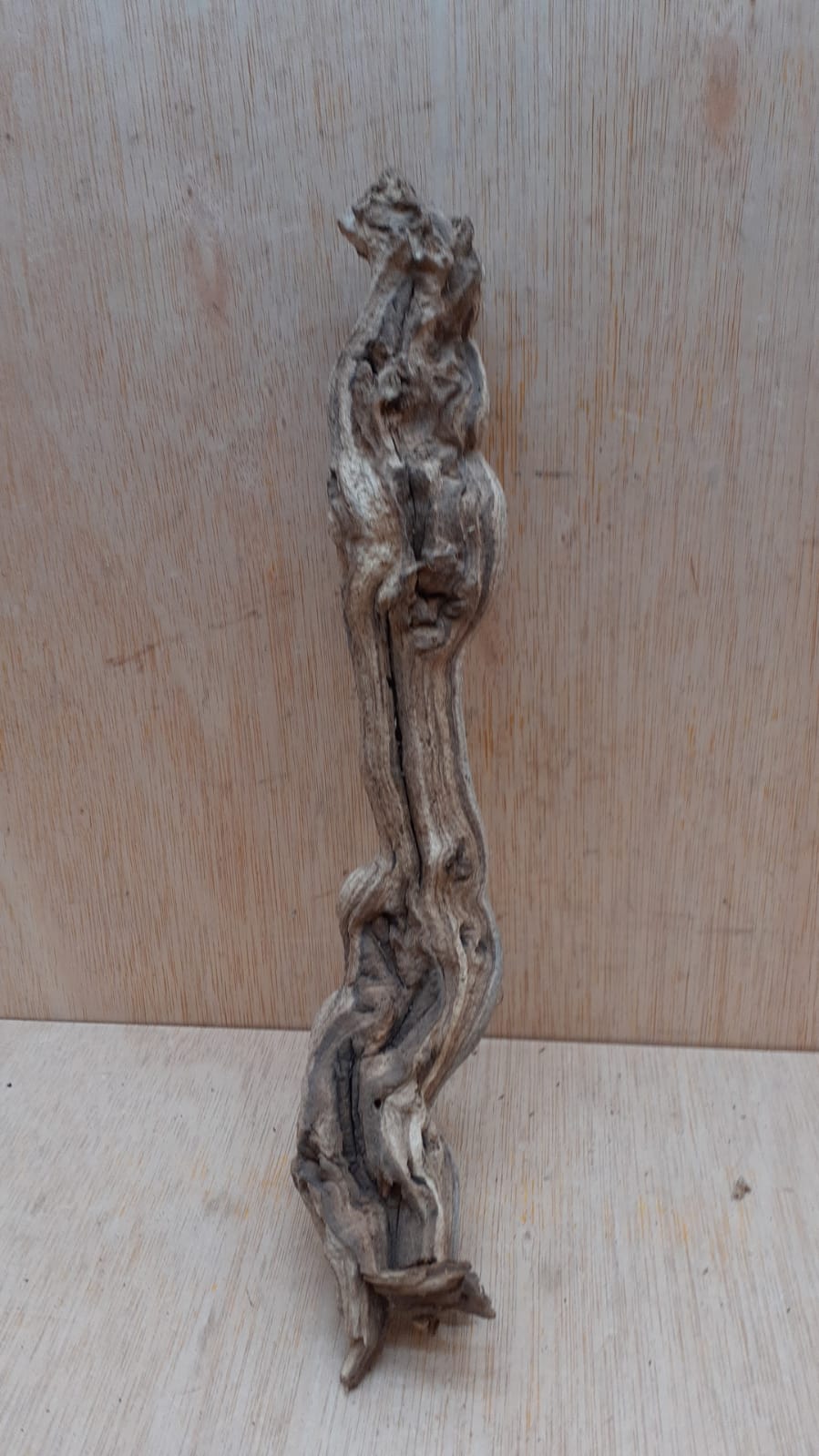 Sandblasted Grapevine - Small 12