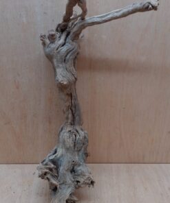 Sandblasted Grapevine - Medium 13