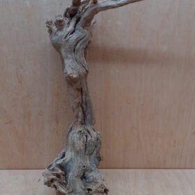 Sandblasted Grapevine - Medium 13