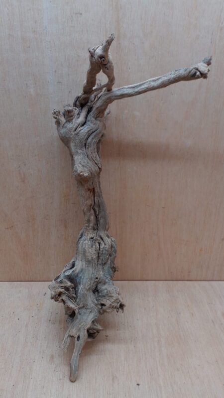 Sandblasted Grapevine - Medium 13