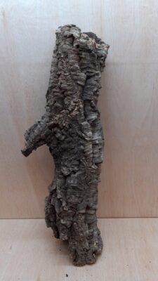 Medium Cork Tube - 60-80cm - 13