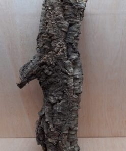 Medium Cork Tube - 60-80cm - 13