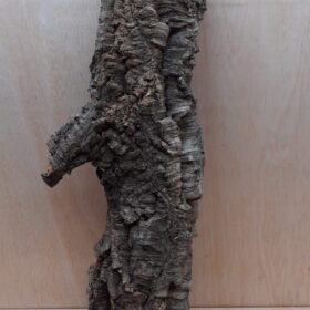 Medium Cork Tube - 60-80cm - 13