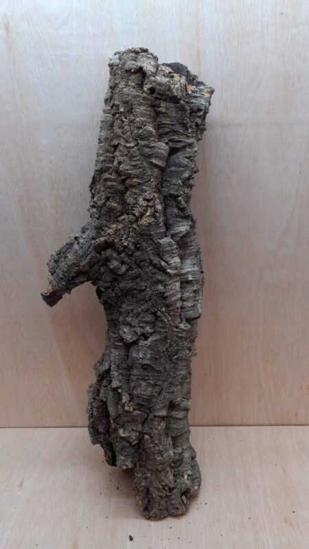 Medium Cork Tube - 60-80cm - 13