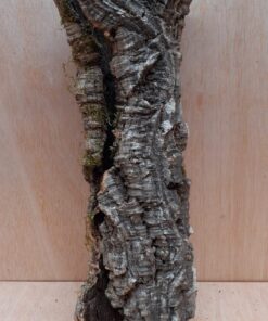 Small Cork Tube - 40-60cm - 13