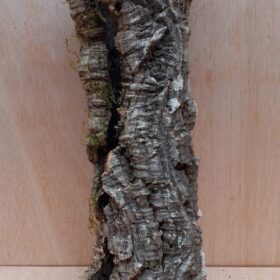 Small Cork Tube - 40-60cm - 13