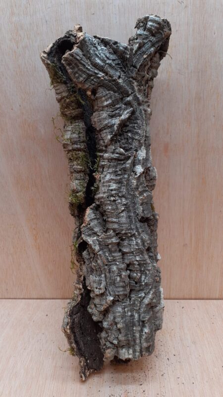 Small Cork Tube - 40-60cm - 13