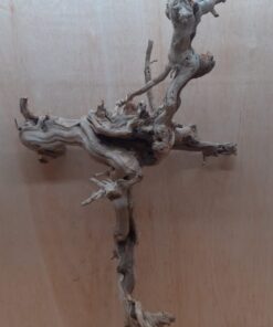 Sandblasted Grapevine - XL 13