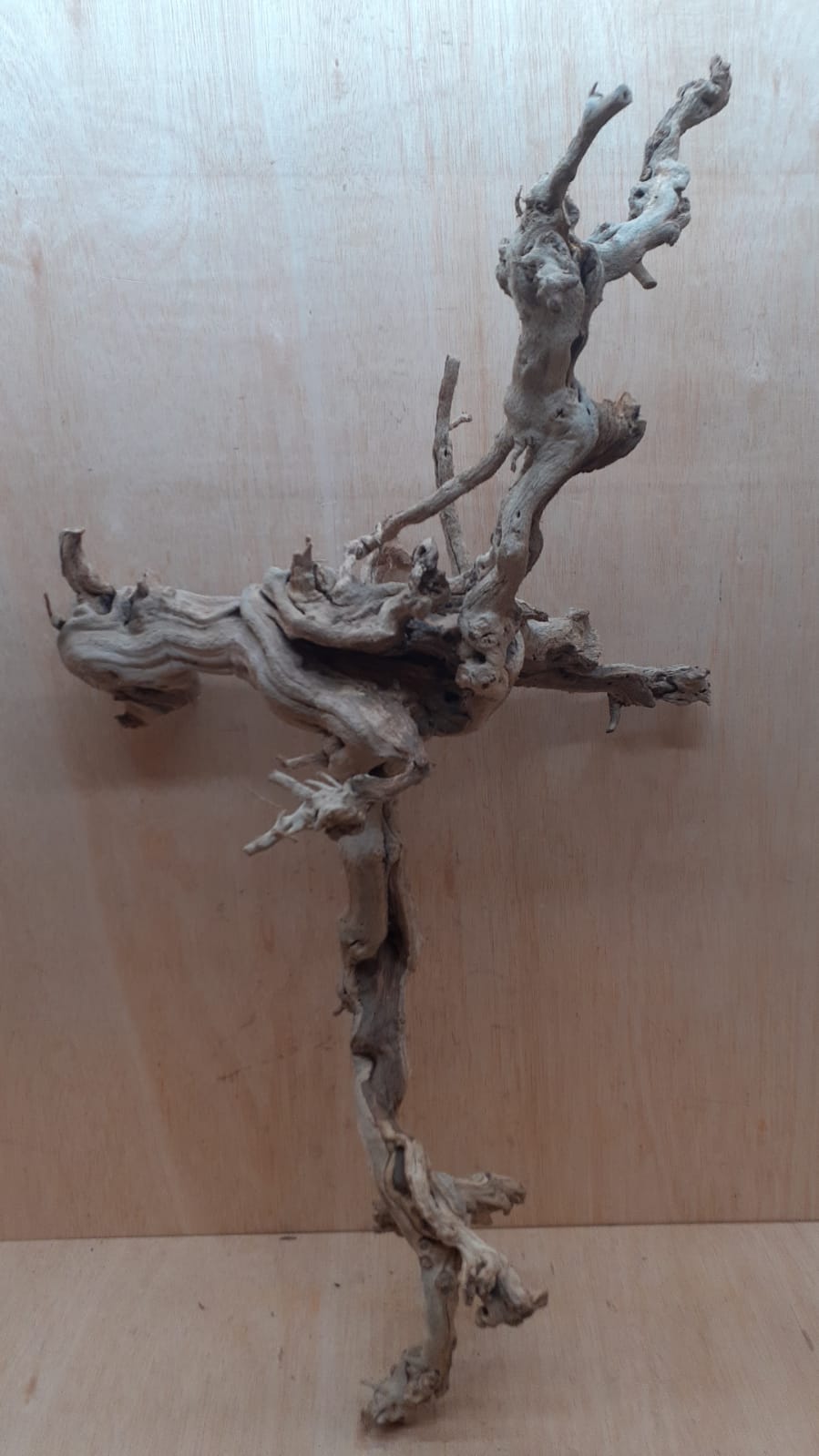 Sandblasted Grapevine - XL 13