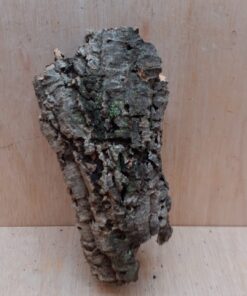 Small Cork Tube - Upto 40cm - 14