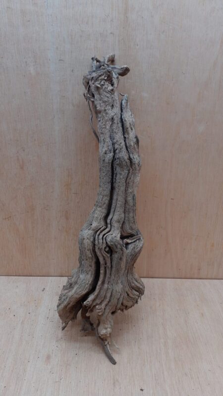 Sandblasted Grapevine - Medium 14