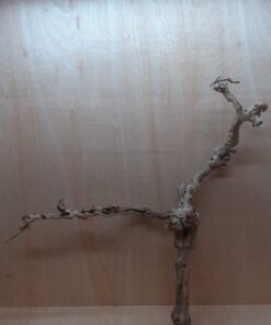 Sandblasted Grapevine - XL 14