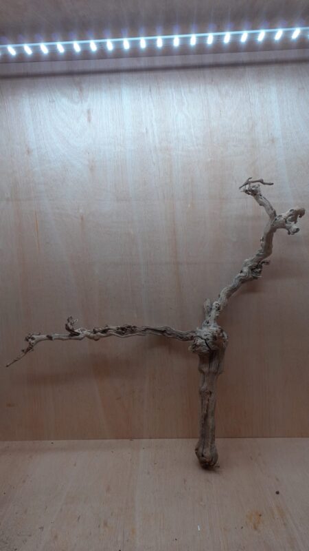 Sandblasted Grapevine - XL 14