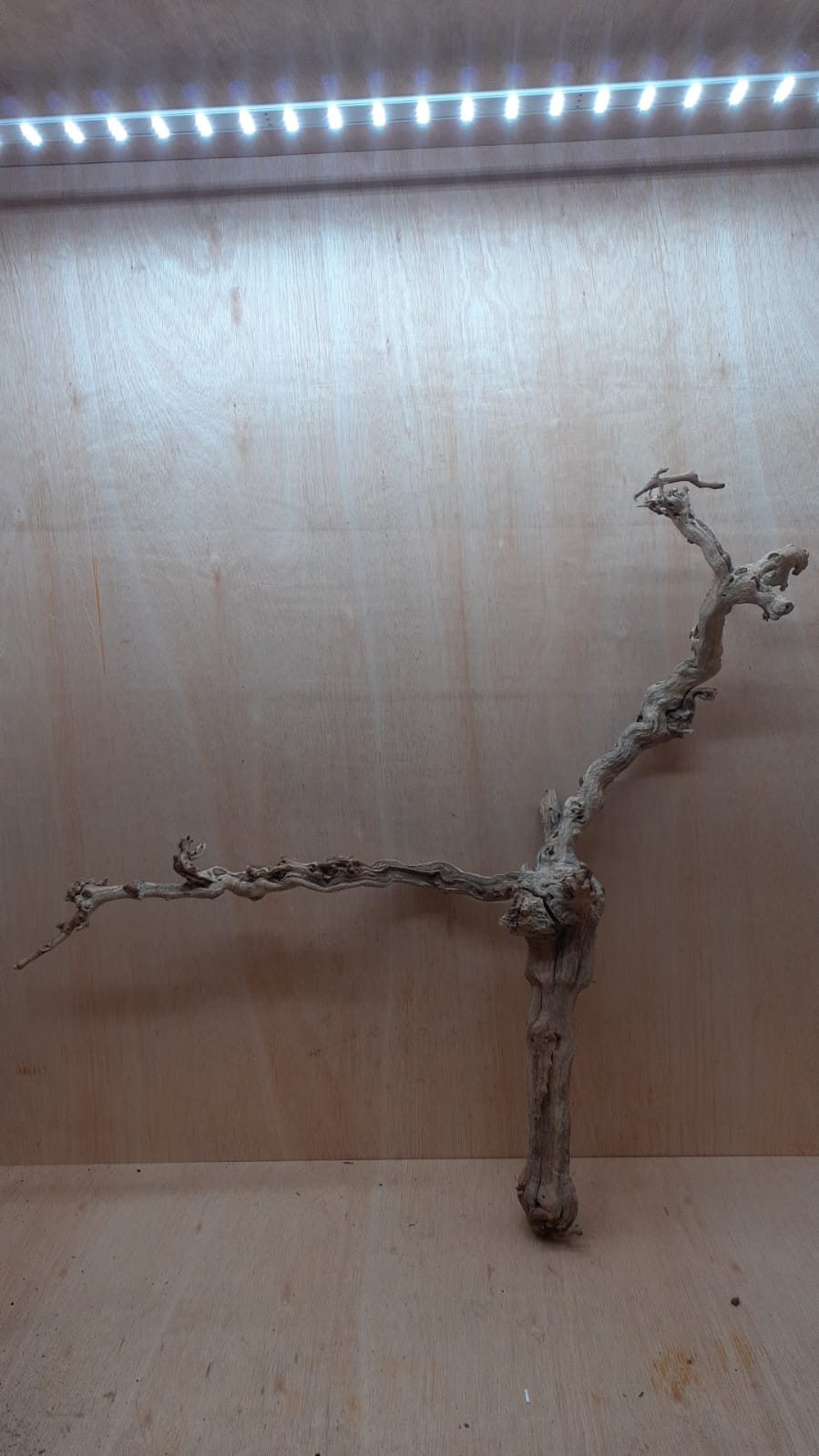 Sandblasted Grapevine - XL 14