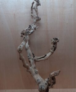 Sandblasted Grapevine - XL 15