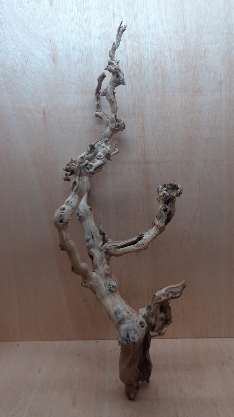 Sandblasted Grapevine - XL 15