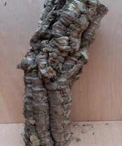 Medium Cork Tube - Upto 40cm - 16