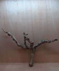 Sandblasted Grapevine - XL 17