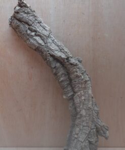 Small Cork Tube - 40-60cm - 19