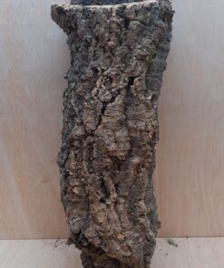 Medium Cork Tube - 40-60cm - 19