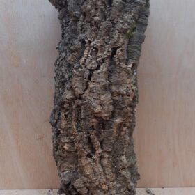 Medium Cork Tube - 40-60cm - 19