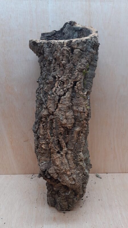 Medium Cork Tube - 40-60cm - 19