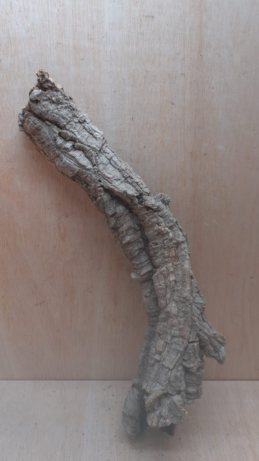 Small Cork Tube - 40-60cm - 19