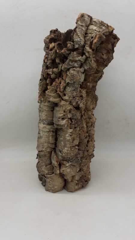 Medium Cork Tube - 40-60cm - 2