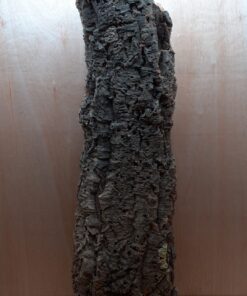 Large Cork Tube - 80-110cm - 2