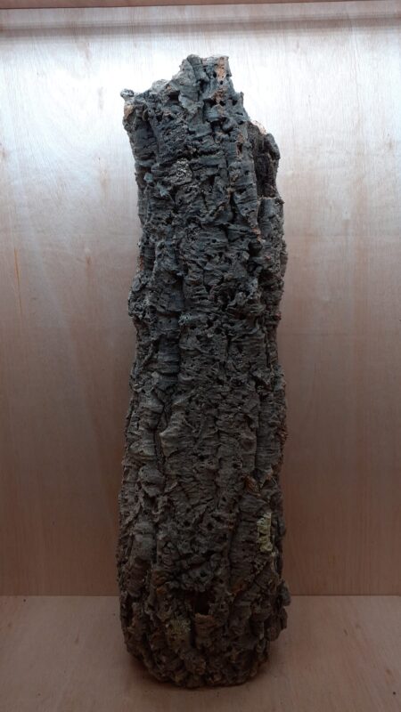 Large Cork Tube - 80-110cm - 2