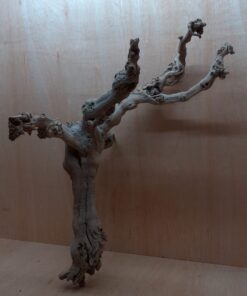Sandblasted Grapevine - XL 2