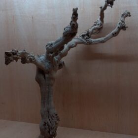 Sandblasted Grapevine - XL 2