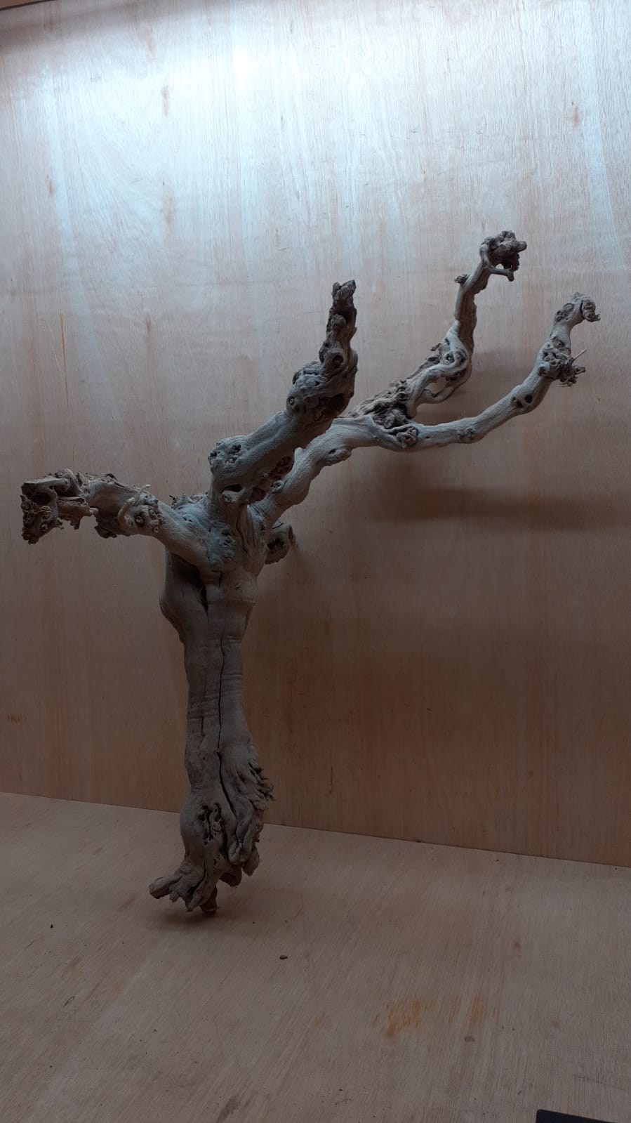 Sandblasted Grapevine - XL 2