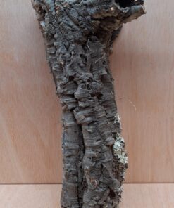 Small Cork Tube - 40-60cm - 20