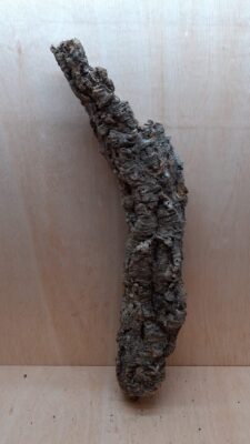 Medium Cork Tube - 60-80cm - 20