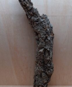 Medium Cork Tube - 60-80cm - 20