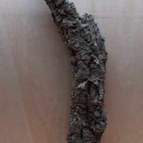 Medium Cork Tube - 60-80cm - 20