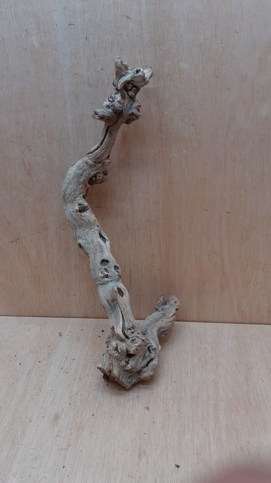 Sandblasted Grapevine - Medium 20