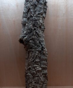 Large Cork Tube - 80-110cm - 3