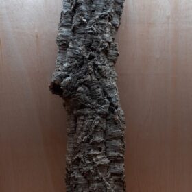 Large Cork Tube - 80-110cm - 3