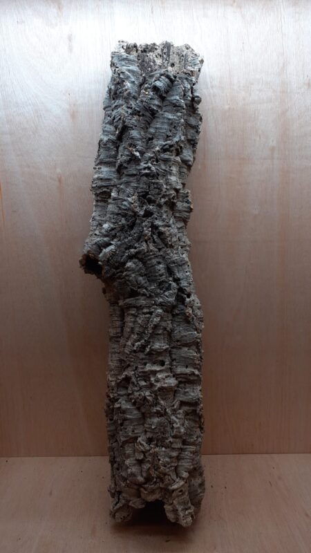 Large Cork Tube - 80-110cm - 3