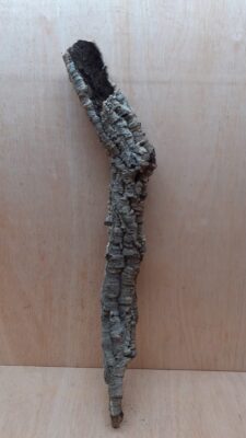 Small Cork Tube - 60-80cm - 3