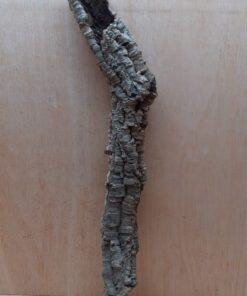 Small Cork Tube - 60-80cm - 3