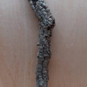 Small Cork Tube - 60-80cm - 3