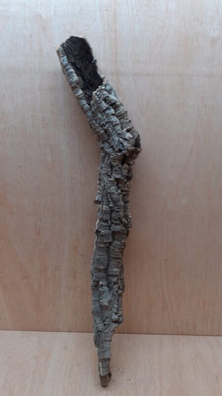 Small Cork Tube - 60-80cm - 3