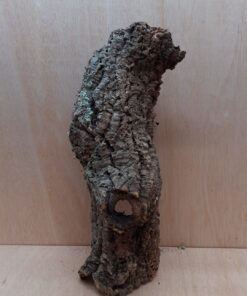 Medium Cork Tube - 40-60cm - 3