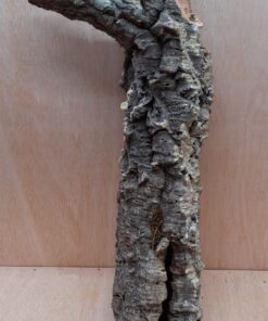 Small Cork Tube - 40-60cm - 3