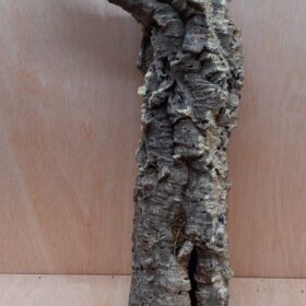 Small Cork Tube - 40-60cm - 3